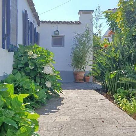 Casa Azores Zen Ribeira Grande Eksteriør billede