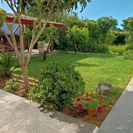 Casa Azores Zen Ribeira Grande Eksteriør billede