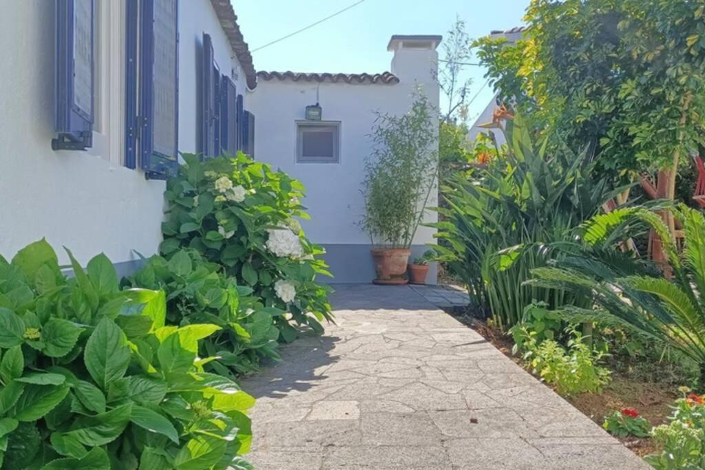 Casa Azores Zen Ribeira Grande Eksteriør billede