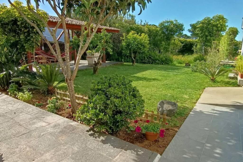 Casa Azores Zen Ribeira Grande Eksteriør billede